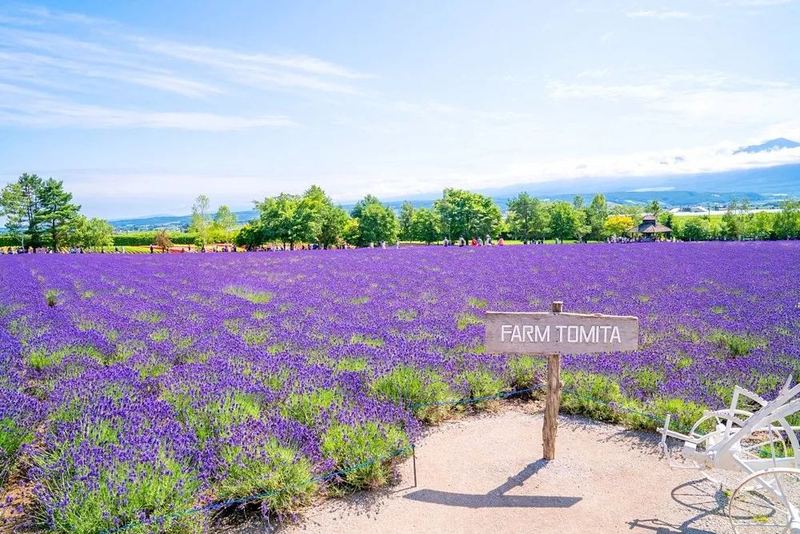 如何正确面对和管理自己的生理欲望（真实案例）
