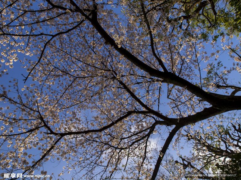 绝望的时候想想什么：看懂这篇你就释然了