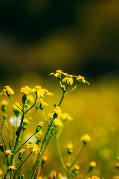 戒手机 | 分离焦虑症怎么治疗？看完这篇你会豁然开朗