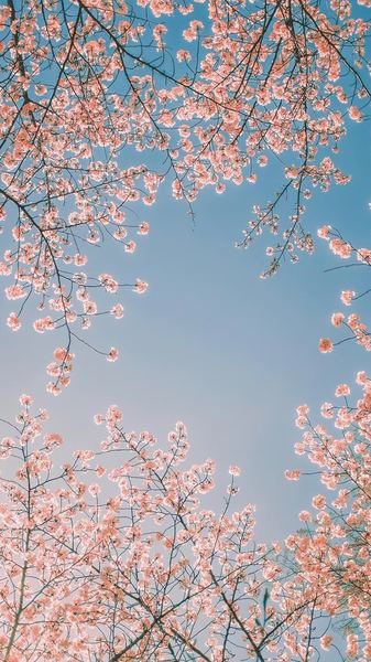 自我疗愈：追女生发什么消息比较好全面解析：原因+方法+避坑指