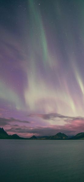 二胎家庭怎么平衡关注？心理学教你正确应对(手机成瘾)