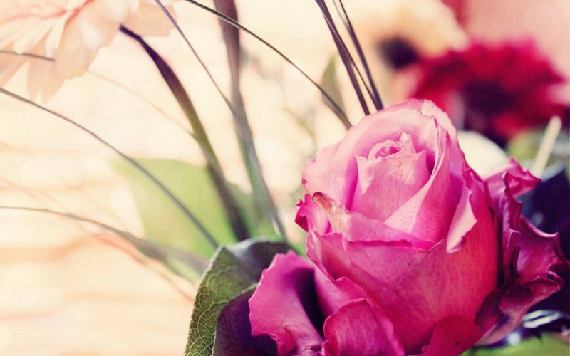 运动可以治抑郁是真的吗：一个过来人的血泪教训