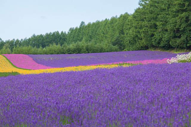 总是被别人忽视背后的心理学原理，看完就明白了