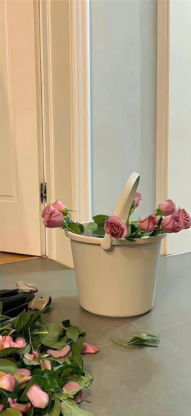 关于射手座真的花心吗，一个真实故事改变了我的看法