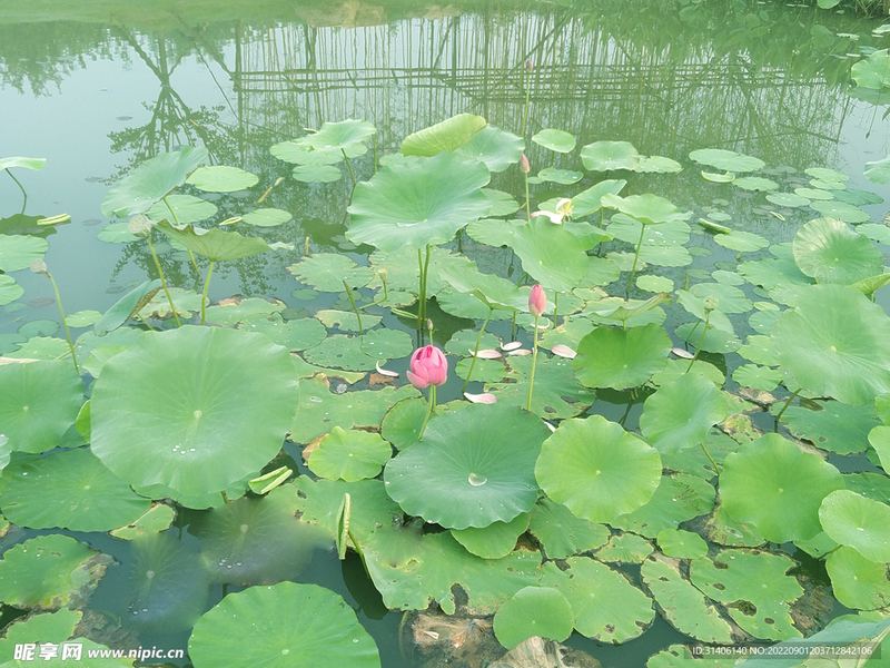 全职妈妈焦虑怎么缓解？心理专家一针见血的分析(人到中年)